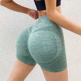 Womens Fitness Yoga Shorts Pants Butt Lifting Seamless Leggings Women Gym
