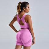 Women's Vest And Shorts Tracksuit Seamless Workout Sportswear Gym Clothing High Waist Leggings Fitness Sports Suits