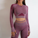 Ladies Seamless Yoga Pants Sports Gym Fitness Leggings Or Long Sleeve Tops Outfits Butt Lifting Slim Workout Sportswear Clothing