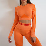 Ladies Seamless Yoga Pants Sports Gym Fitness Leggings Or Long Sleeve Tops Outfits Butt Lifting Slim Workout Sportswear Clothing