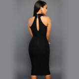 Womens Hanging neck style Sexy party dress